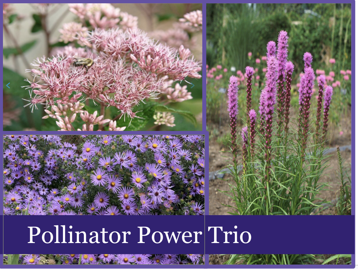 Screenshot 2026-04-20 at 2.34.04 PM.png