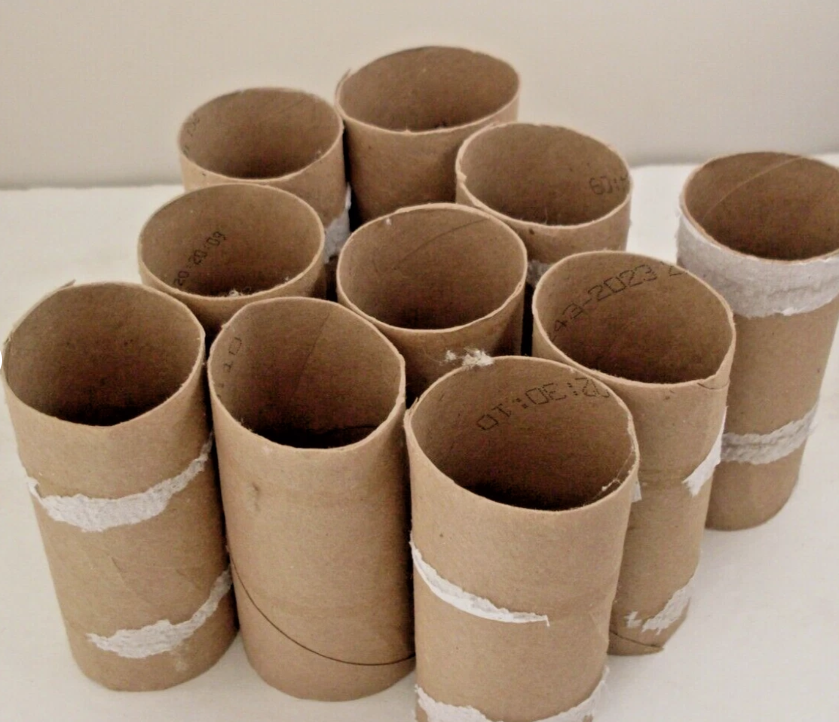 TP Tube Bulbs! March 17 at Innis Arden Cottage