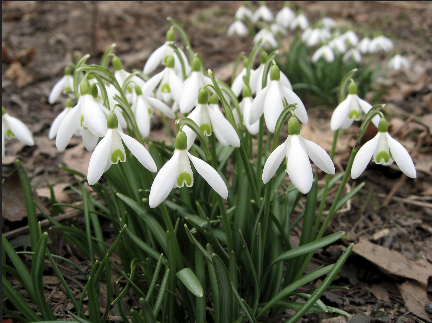 Screenshot 2026-03-23 at 9.02.44 AM.png