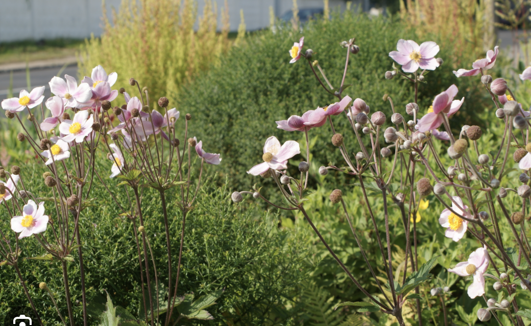 Screenshot 2026-02-28 at 1.22.45 AM.png