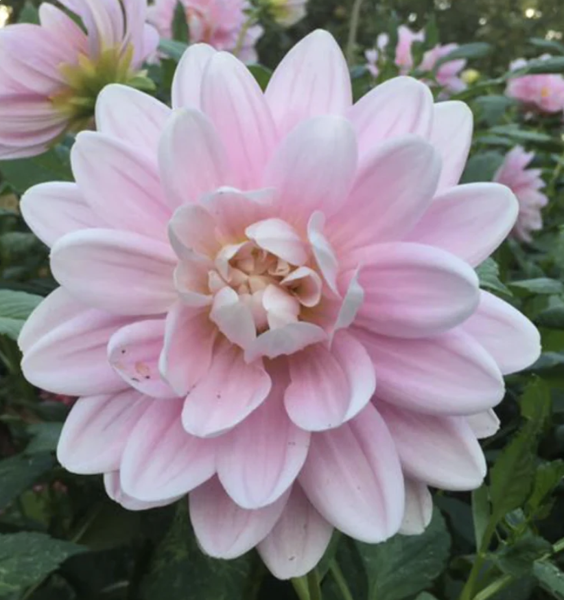 Screenshot 2026-03-04 at 7.37.04 PM.png