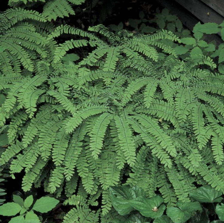 Screenshot 2026-02-27 at 2.55.30 PM.png