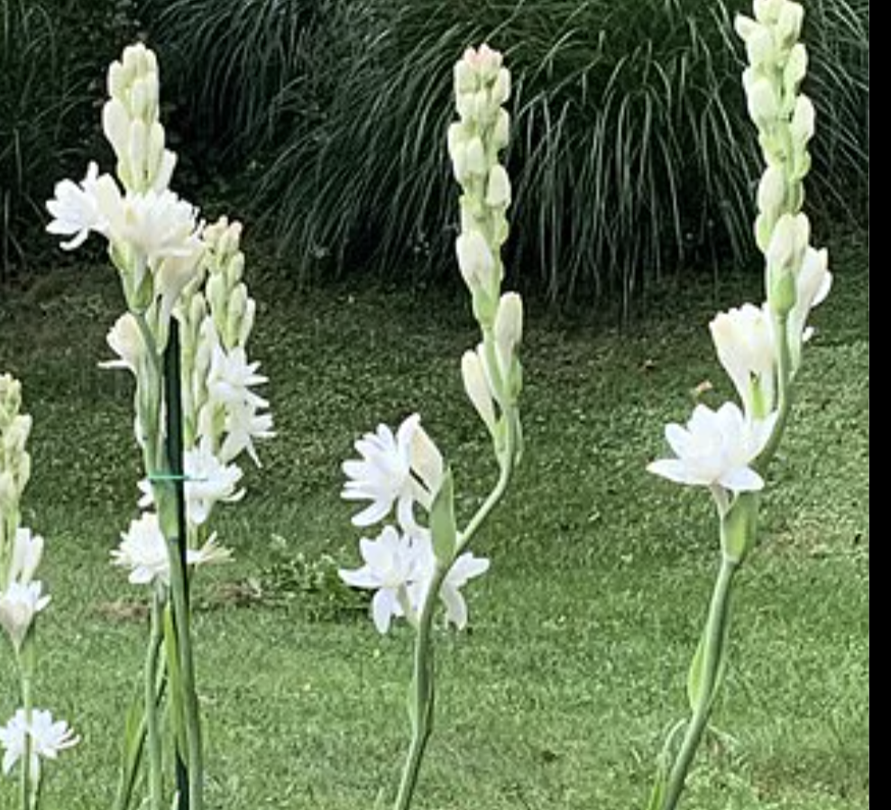 Screenshot 2026-03-04 at 7.34.42 PM.png