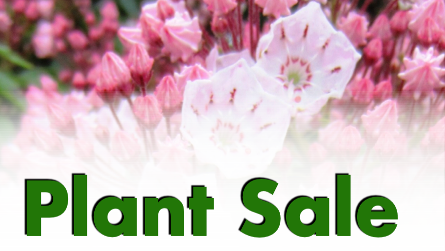 Screen Shot 2023-03-02 at 10.29.59 PM.png