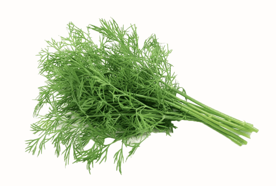 Screenshot 2026-04-21 at 10.38.35 AM.png