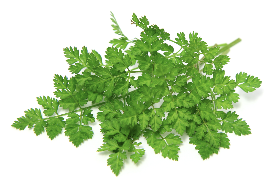 Screenshot 2026-04-11 at 11.40.48 PM.png