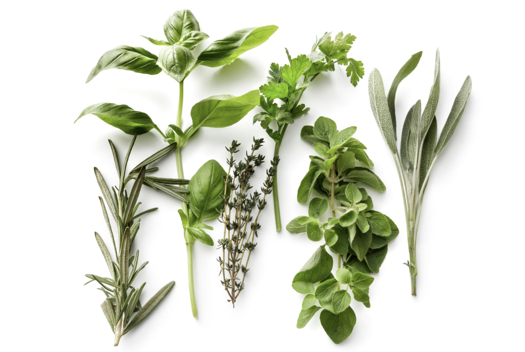 Screenshot 2026-04-21 at 11.28.48 AM.png