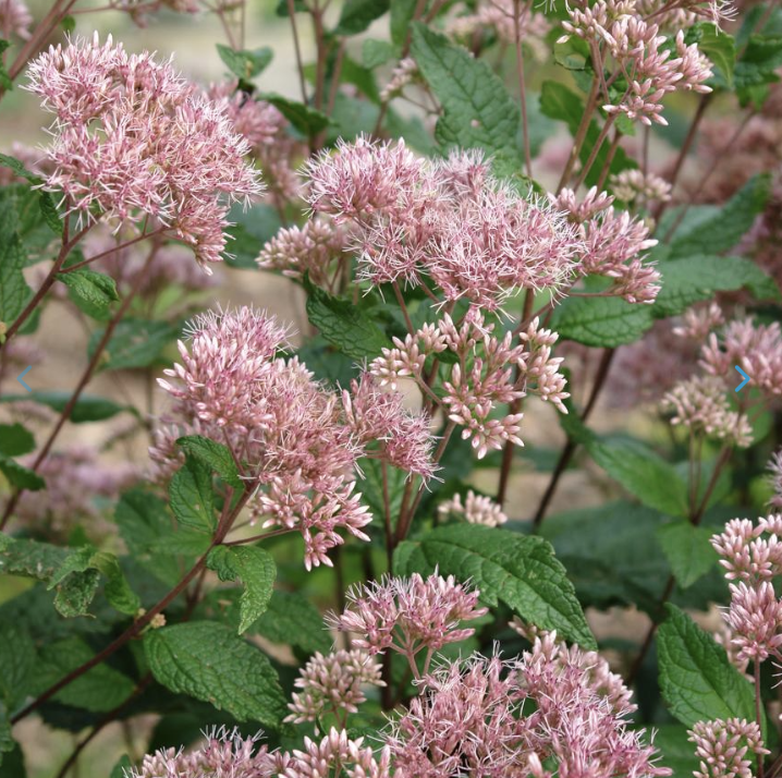 Screenshot 2026-02-27 at 3.29.03 PM.png