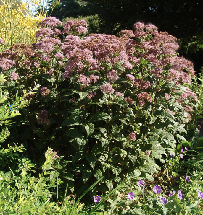 Screenshot 2026-02-27 at 3.28.29 PM.png