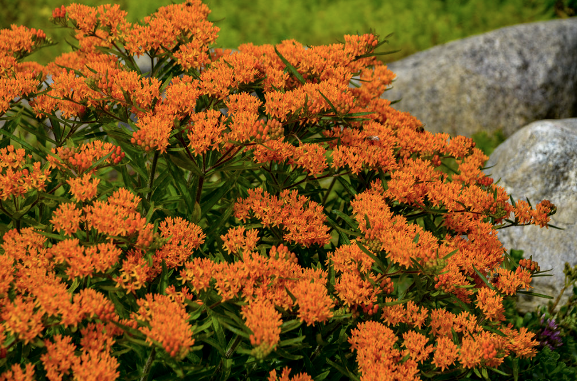 Screenshot 2026-04-09 at 10.34.16 AM.png