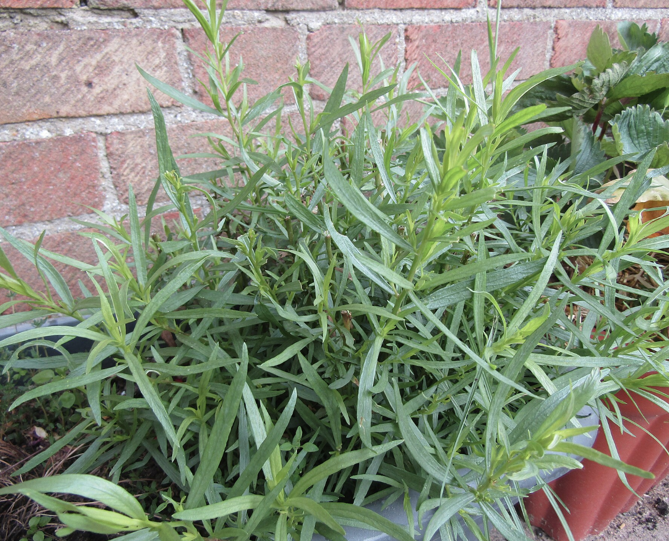 Screenshot 2026-04-11 at 11.49.04 PM.png