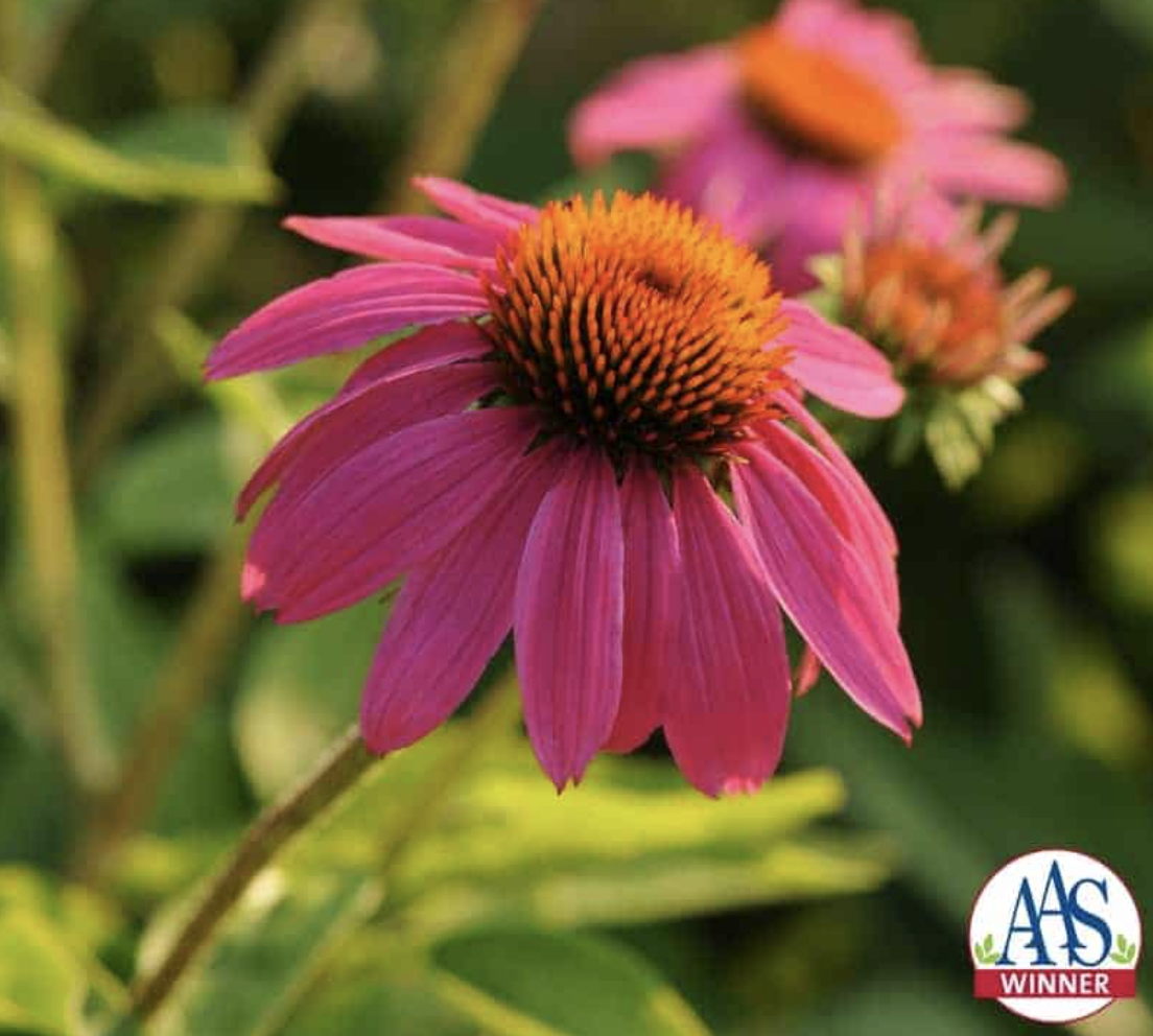 Screenshot 2026-04-09 at 10.30.56 AM.png