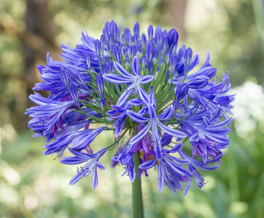 Screenshot 2026-03-06 at 8.28.59 AM.png