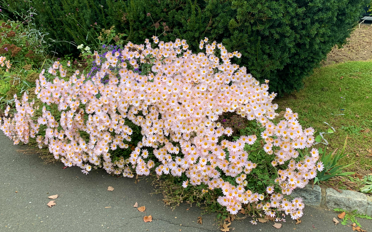 Screenshot 2026-02-28 at 1.03.42 AM.png