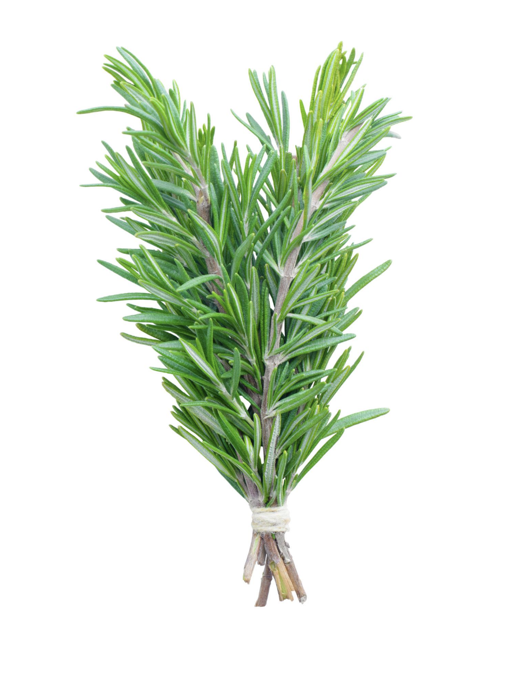 Screenshot 2026-04-21 at 11.16.16 AM.png