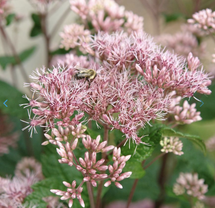 Screenshot 2026-02-27 at 3.28.45 PM.png