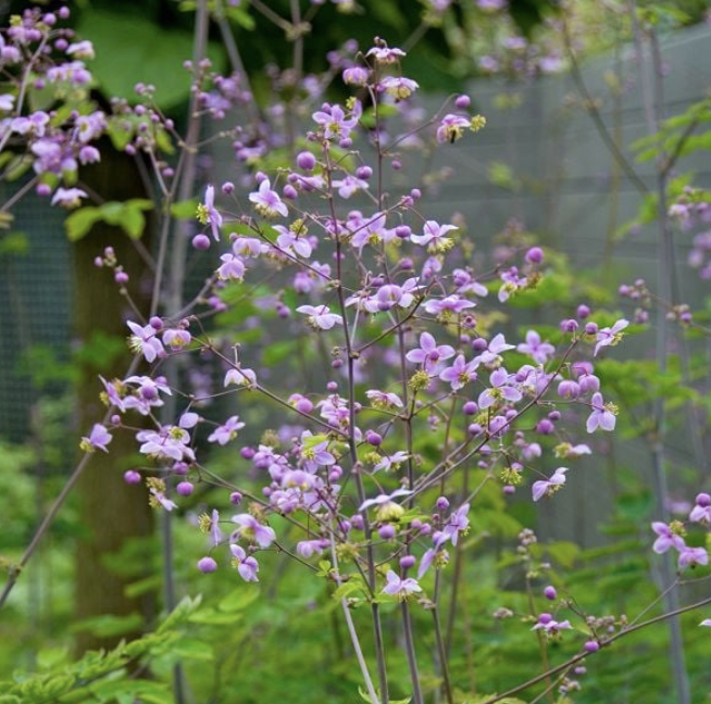 Screenshot 2026-02-27 at 3.23.34 PM.png