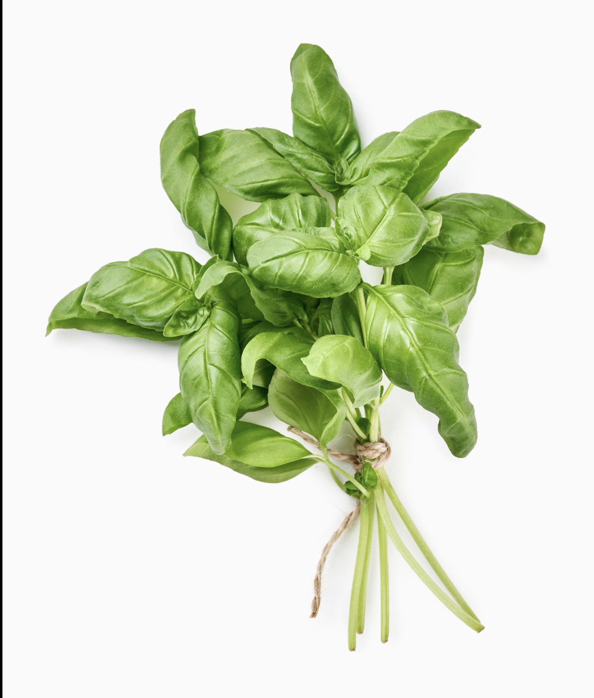 Screenshot 2026-04-21 at 10.45.55 AM.png