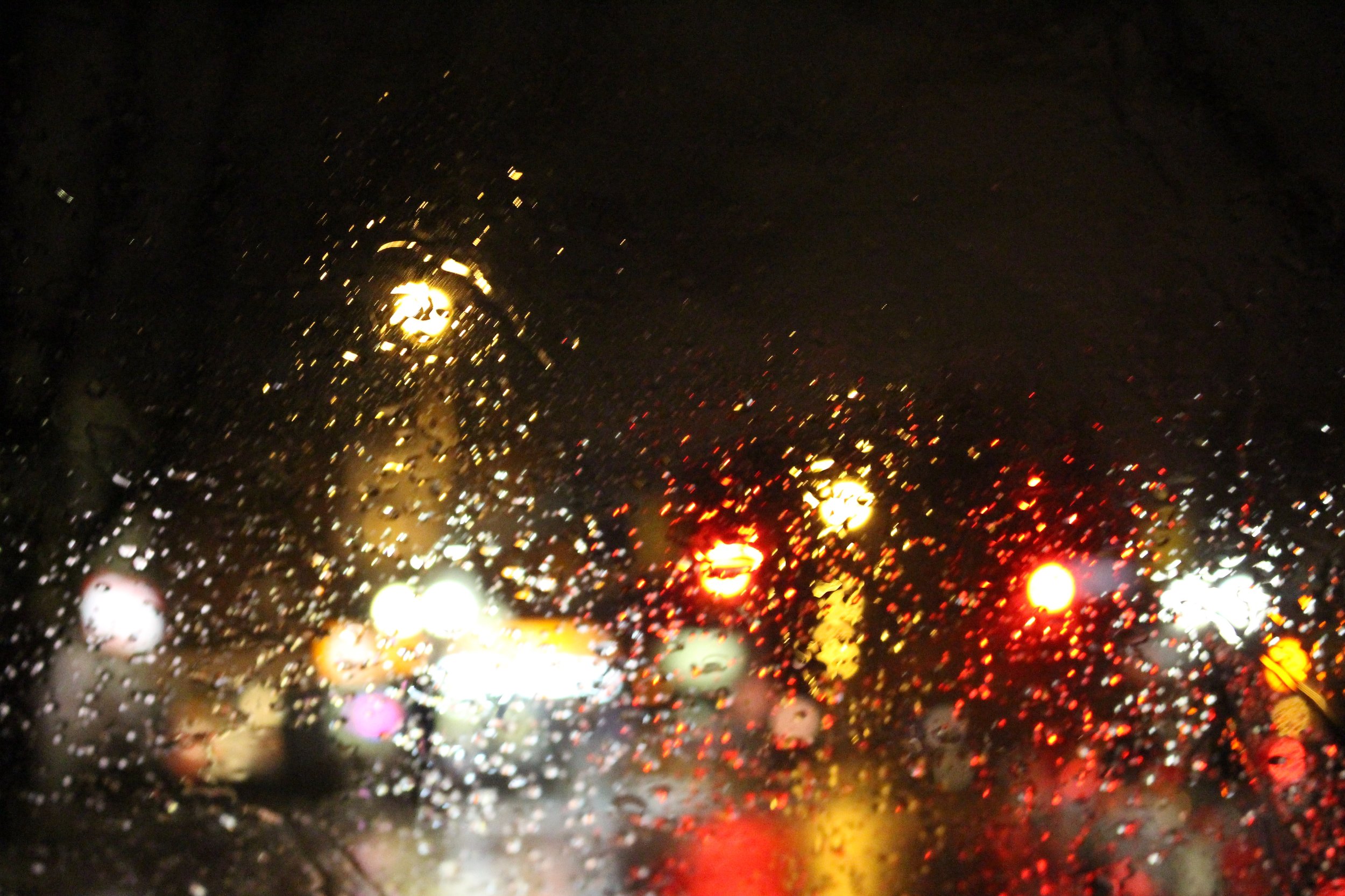 Palmerston Blvd2.jpg