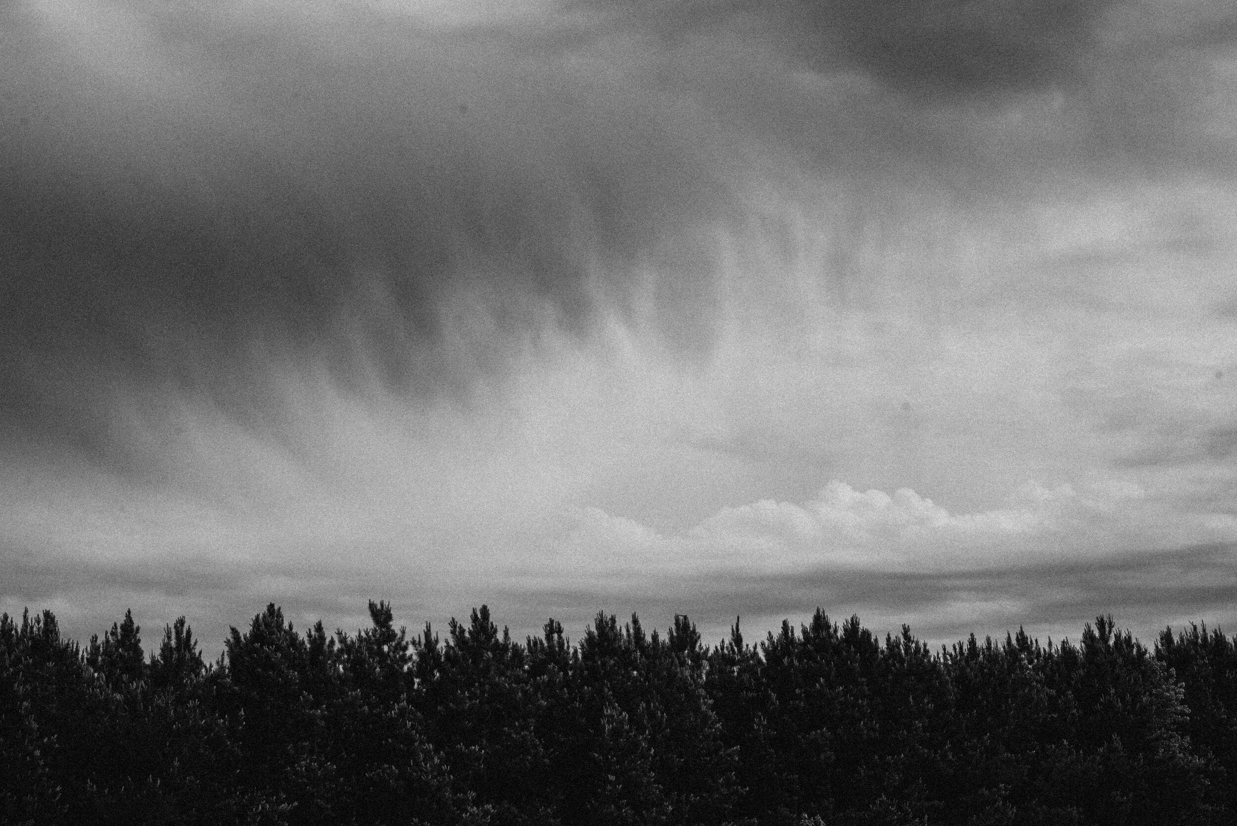 _DSC6730.jpg