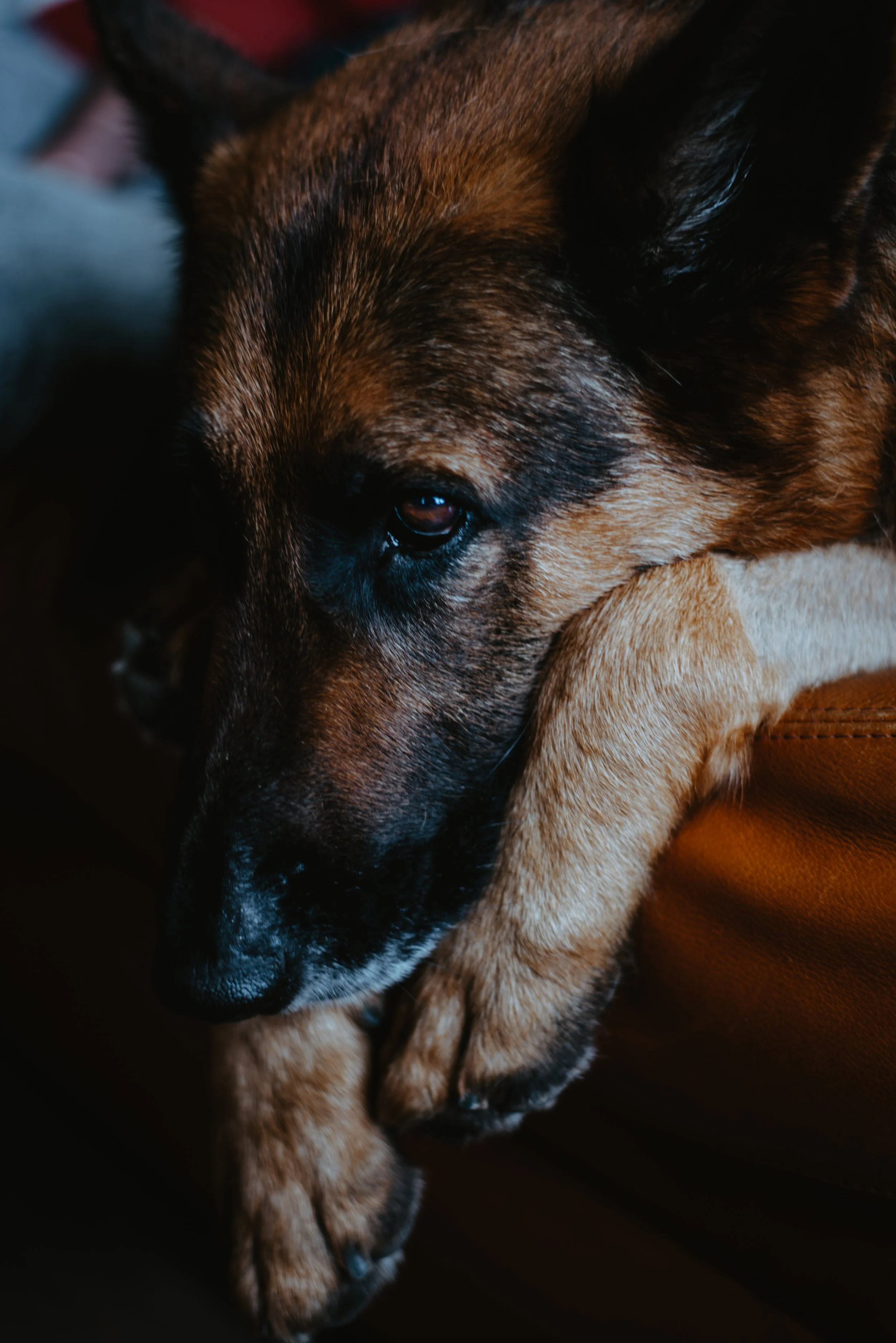 _DSC9024.jpg