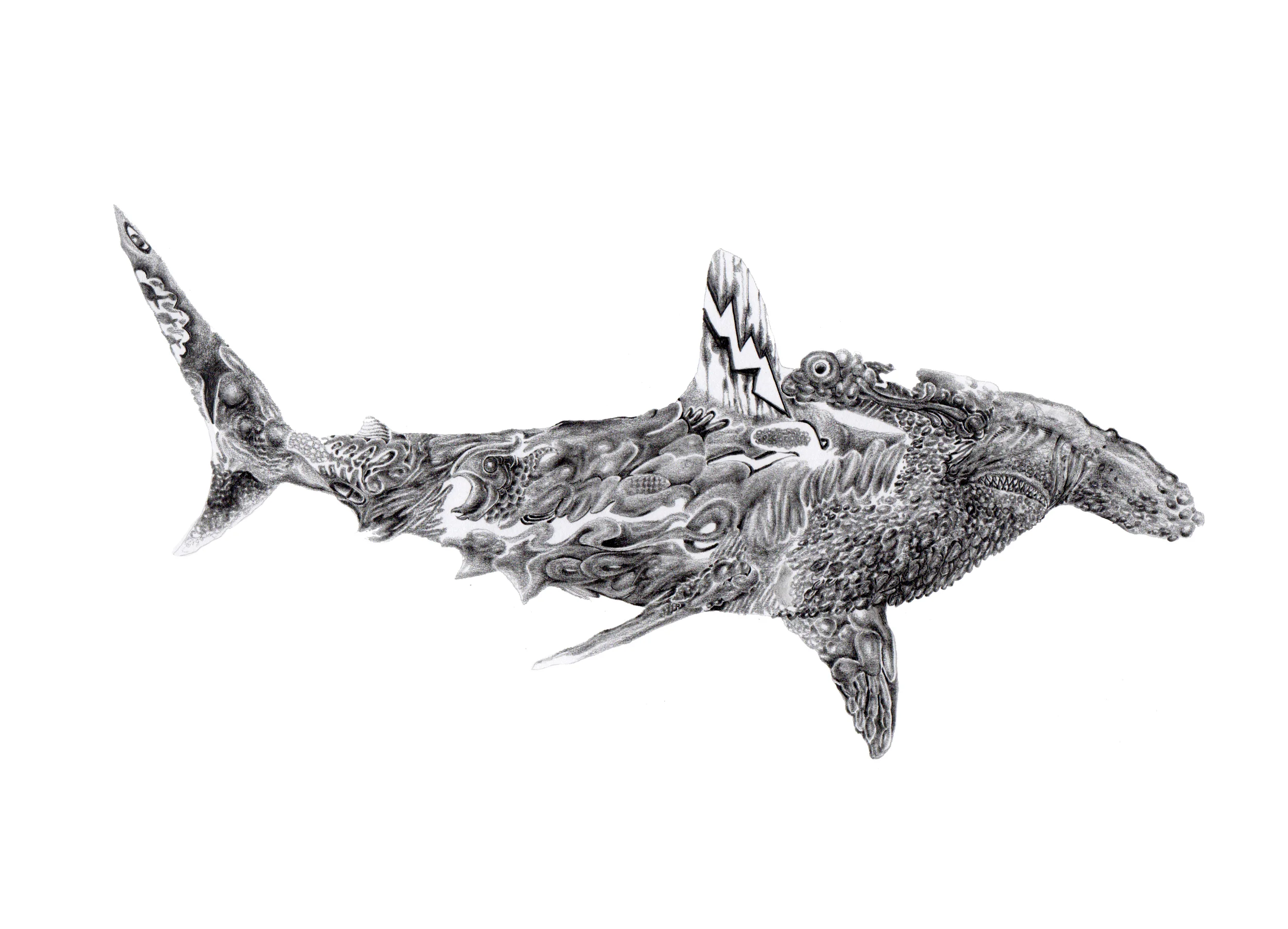 Hammerhead