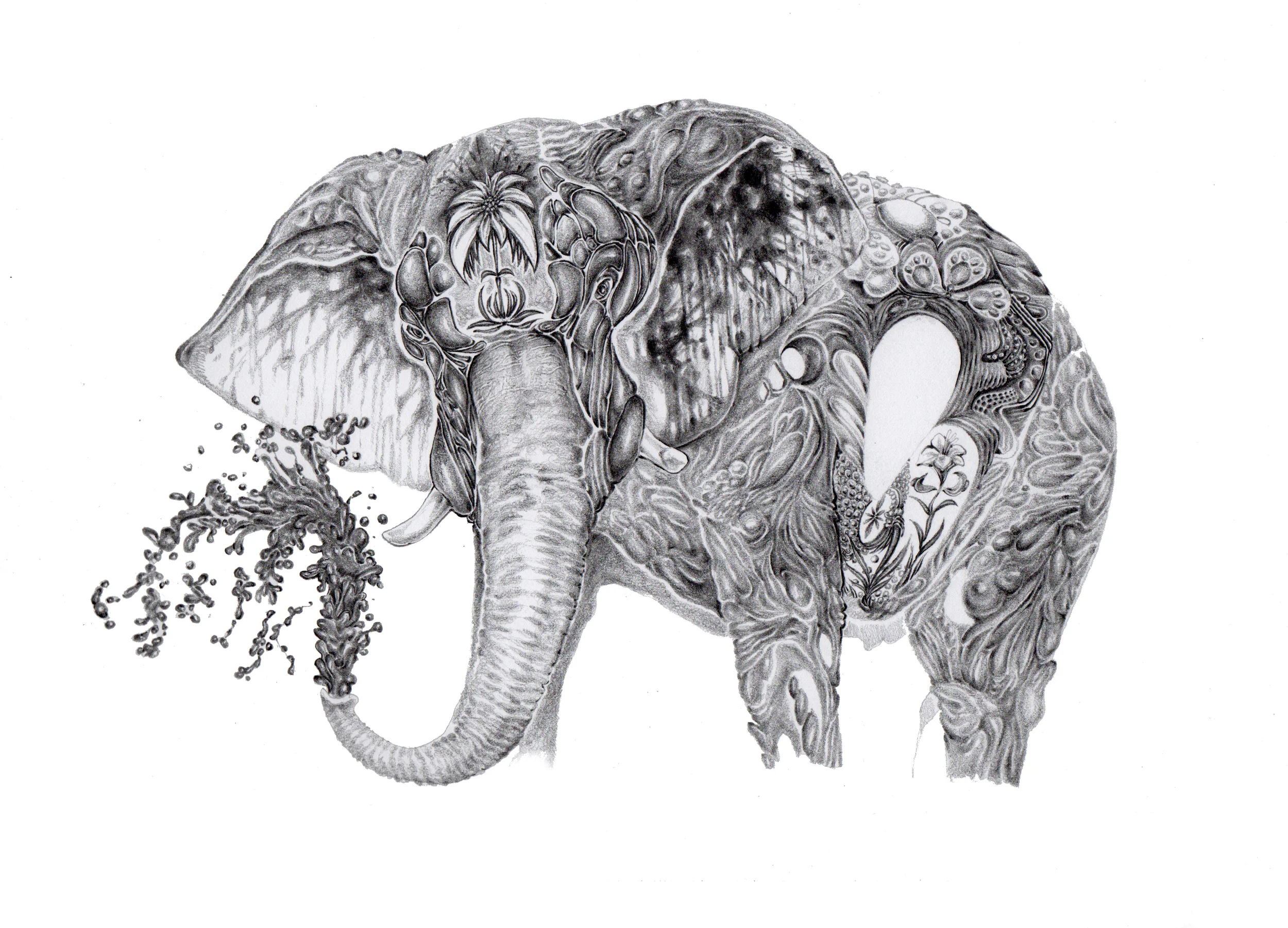 elephant_book.jpg