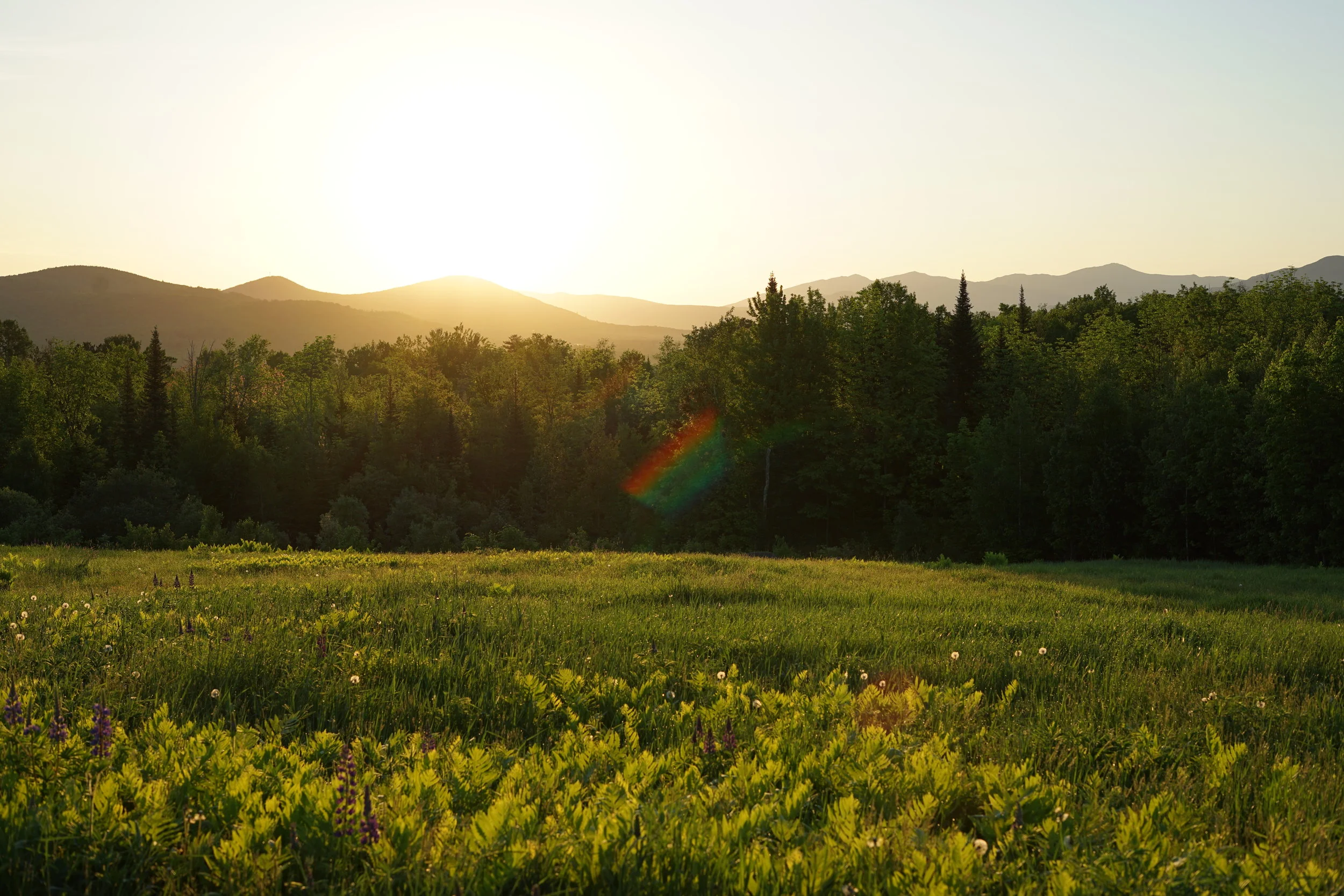 Sunrise - Sugar Hill, New Hampshire
