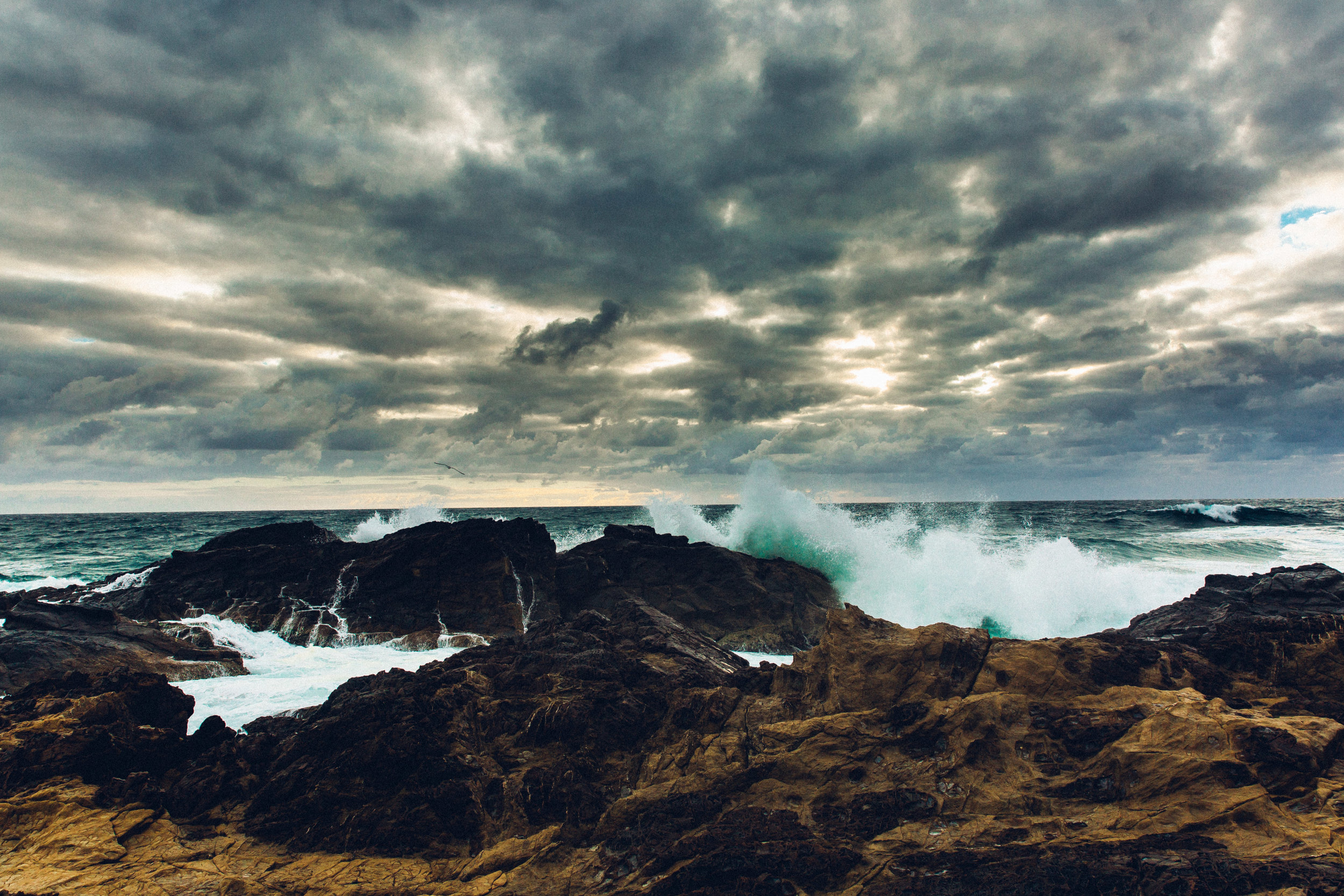 Lachlan Jordan Photography-6821.jpg