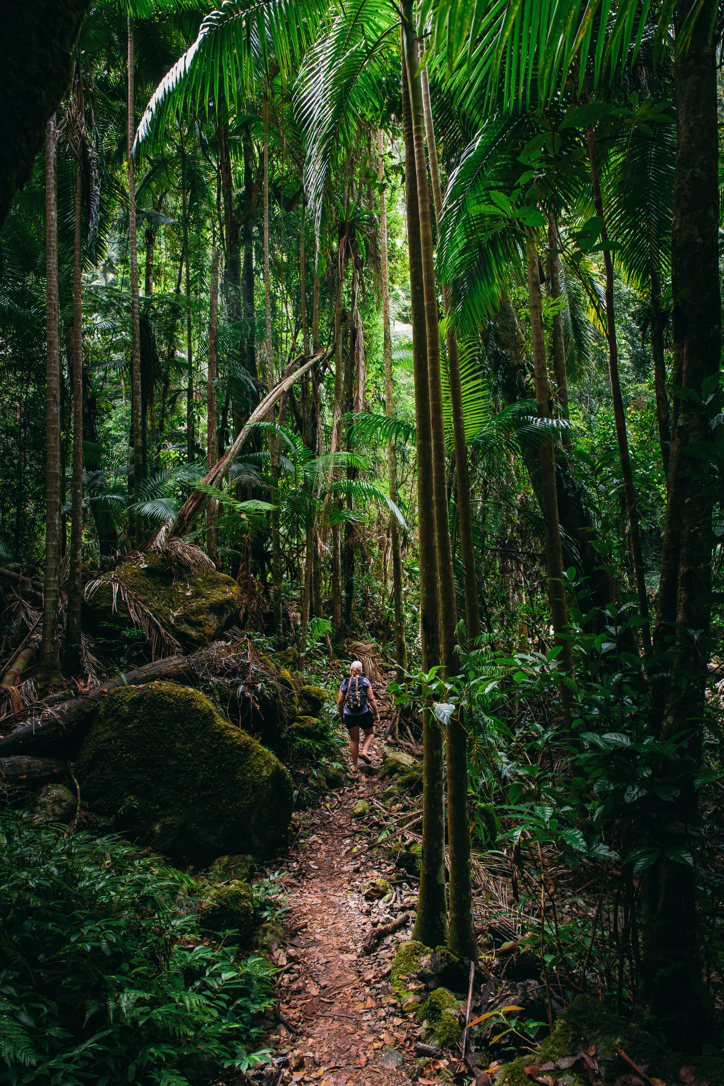 Lachlan Jordan Photography-7010.jpg