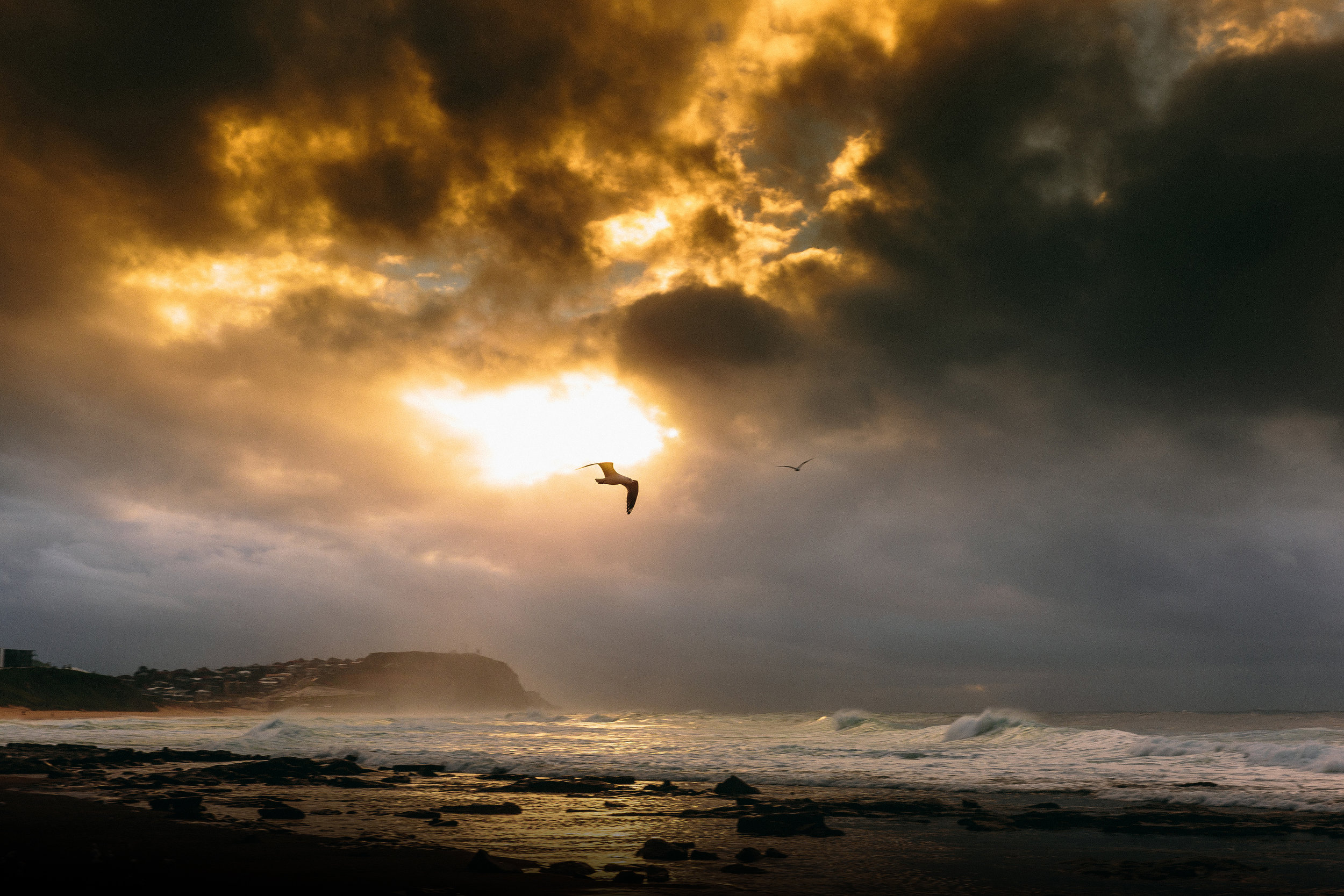 Lachlan-Jordan-Photography-5570-copy.jpg