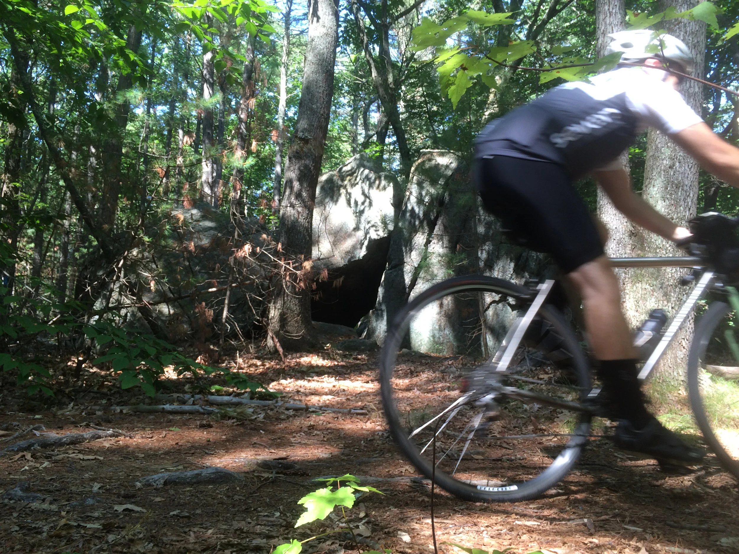 Honey 100 Recap