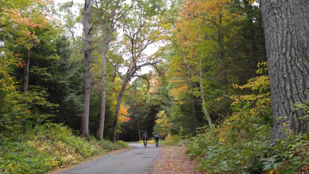 Autumn in all its glory - Photo: Patria Vandermark