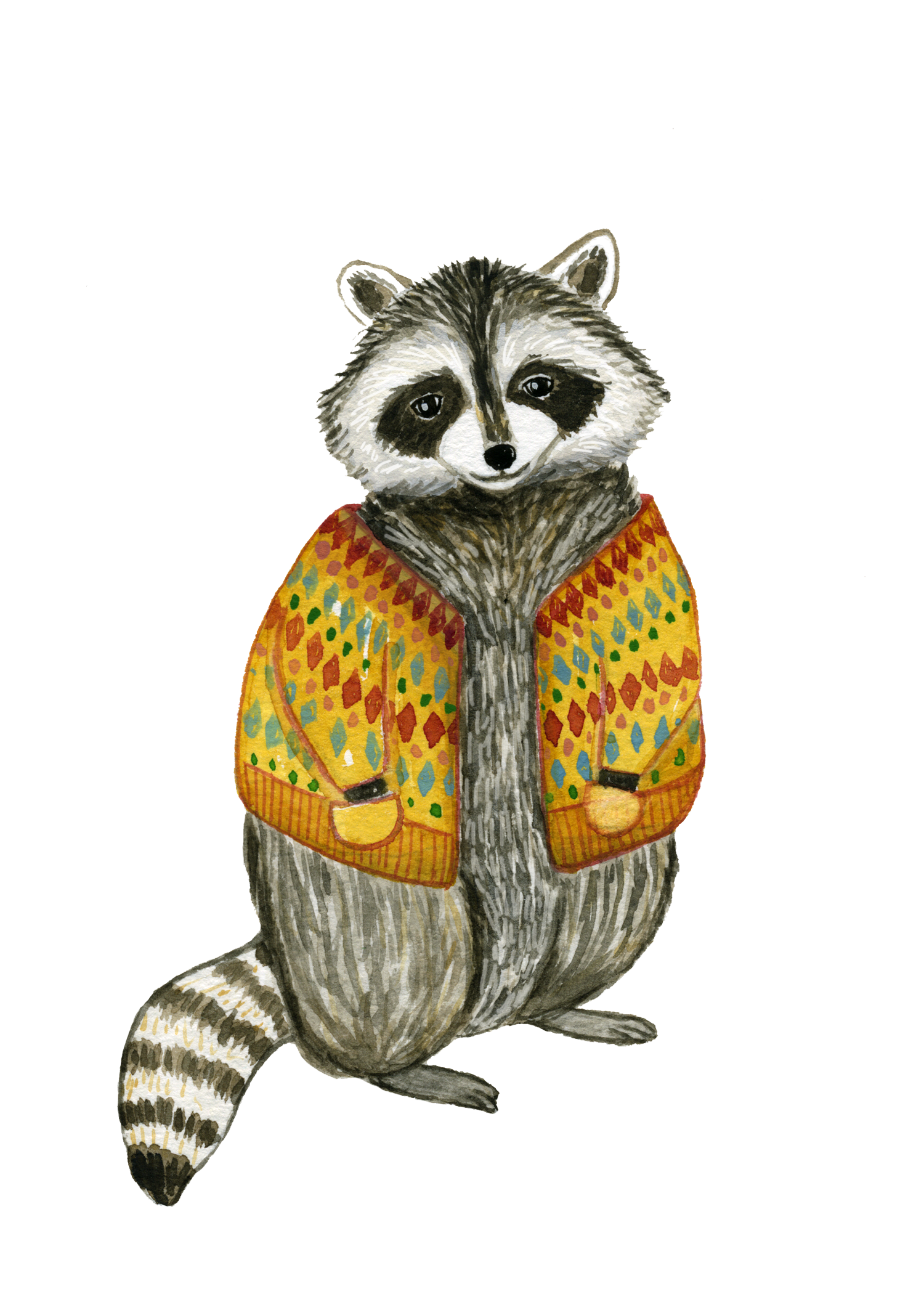 magpie_raccoon_lindsaybrackeen_2018.png