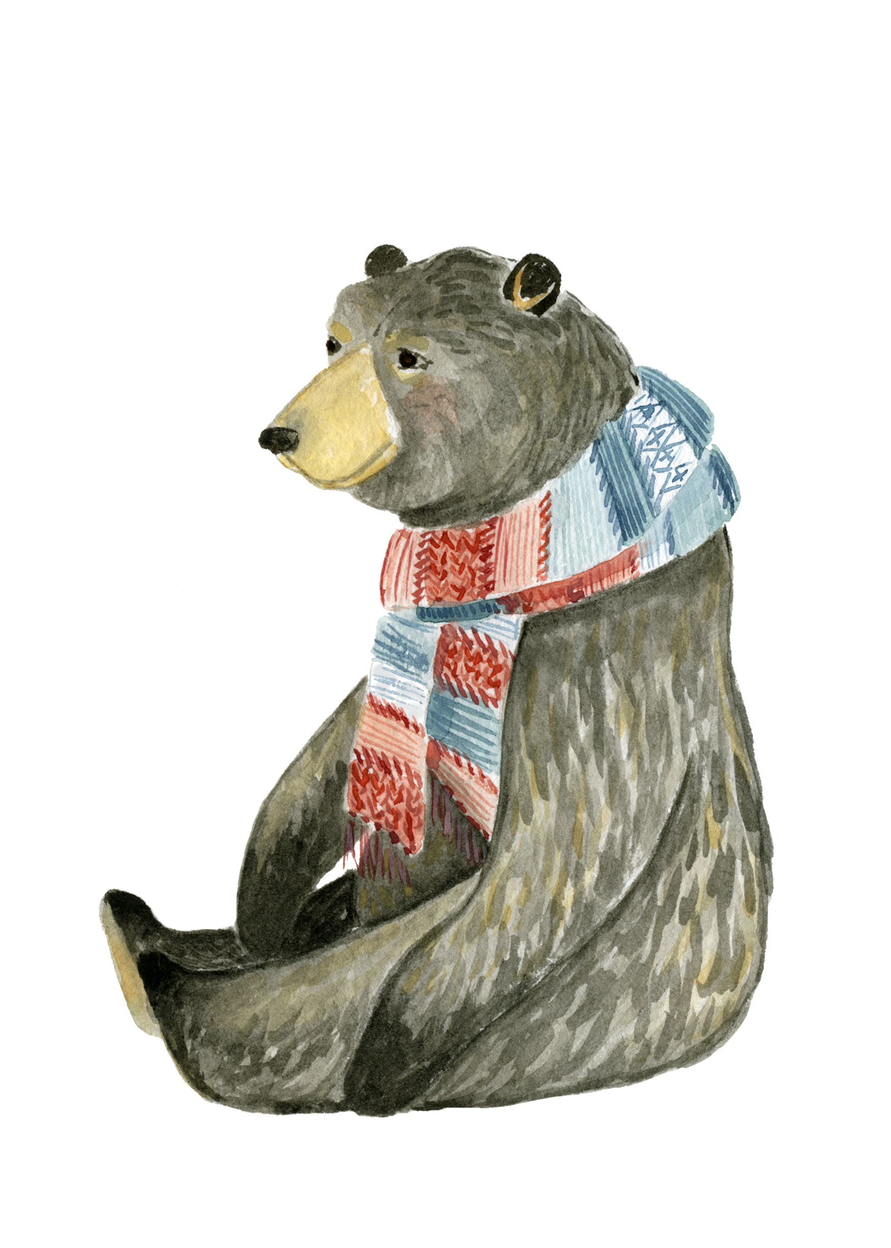 magpie_bear_lindsaybrackeen_2018.png