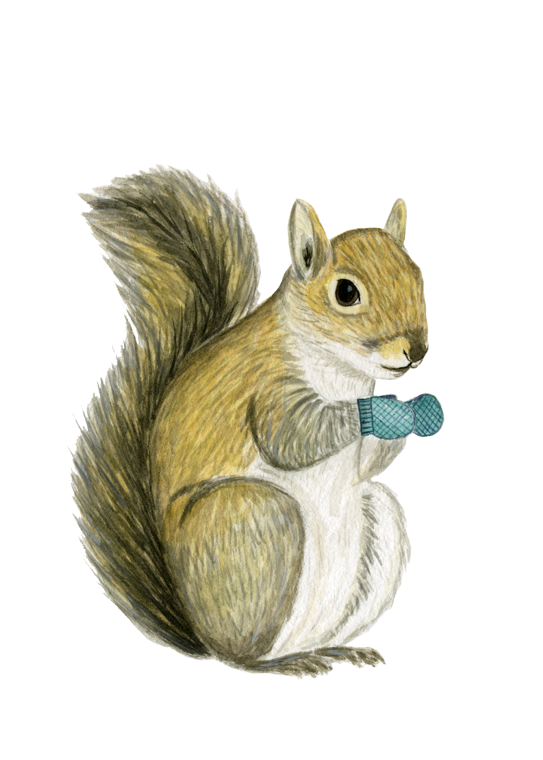magpie_squirrel_lindsaybrackeen_2018.png
