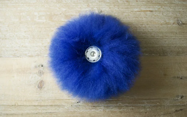 Blue Pom Snap.jpeg