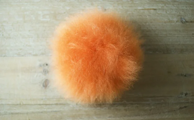 Orange Pom.jpeg