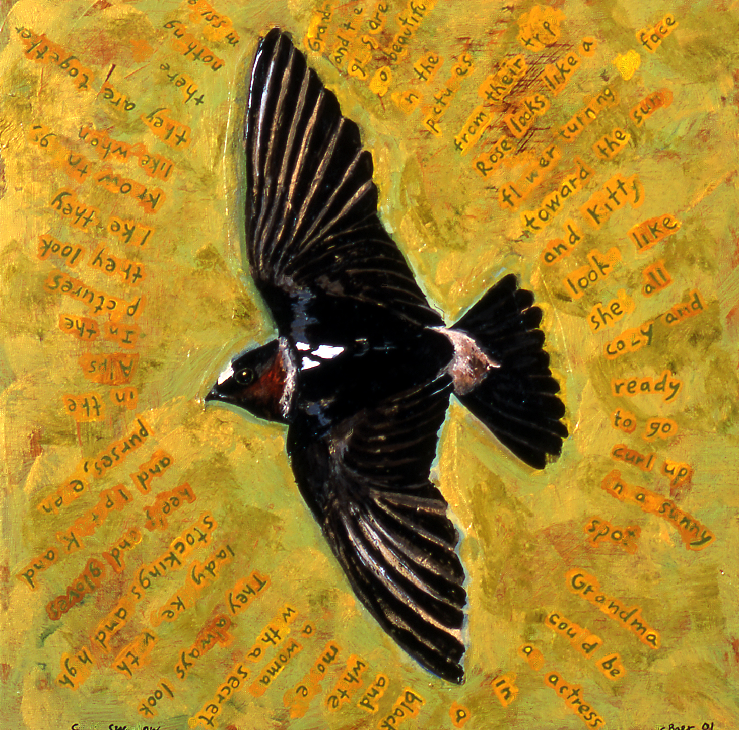 Cliff Swallow, 2001, 14 x 14, mixed media gouache and acrylic on wood panel, $800