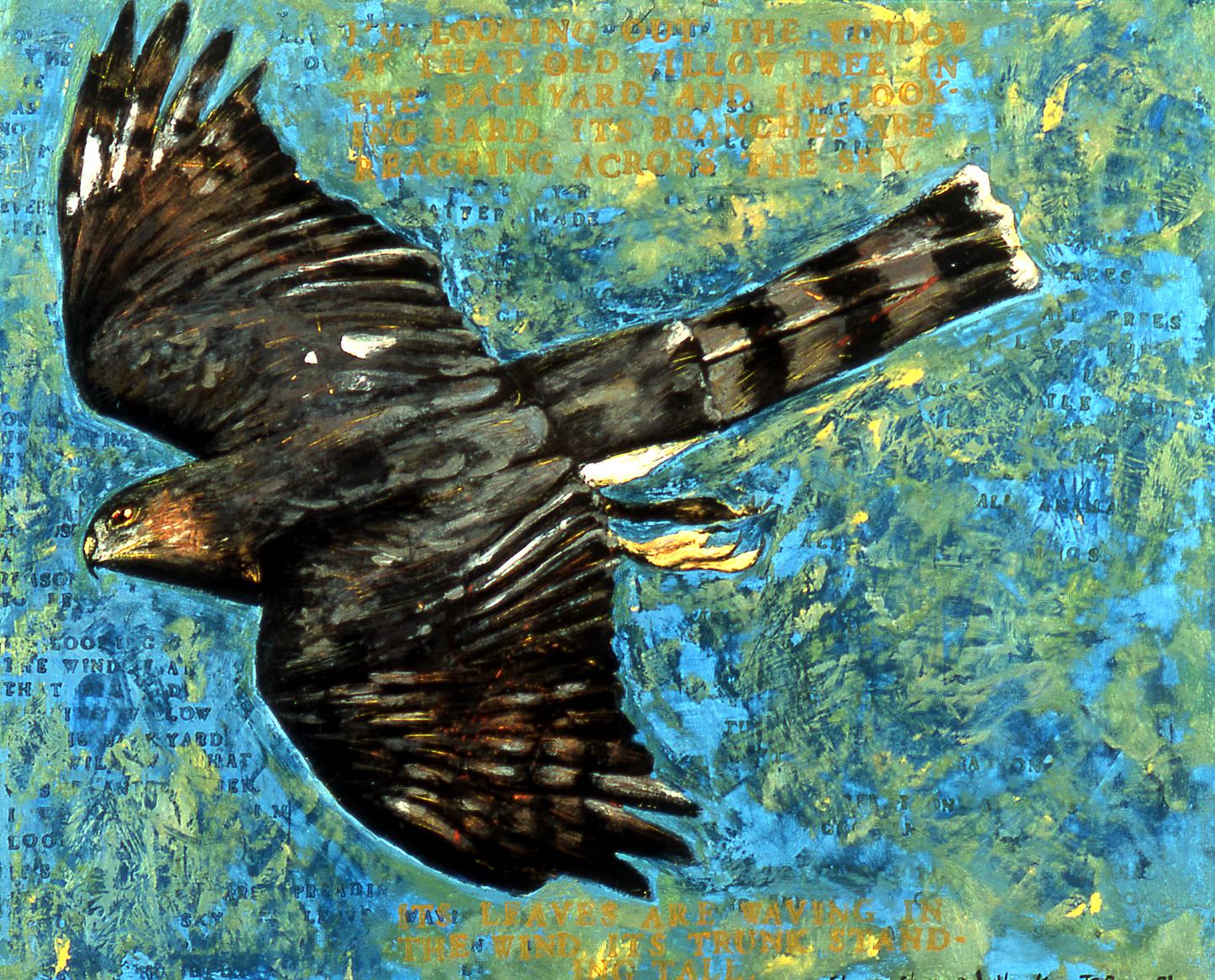 Sharp Shinned Hawk, 2001, 17 ½ x 21 ½, acrylic on wood panel, $800