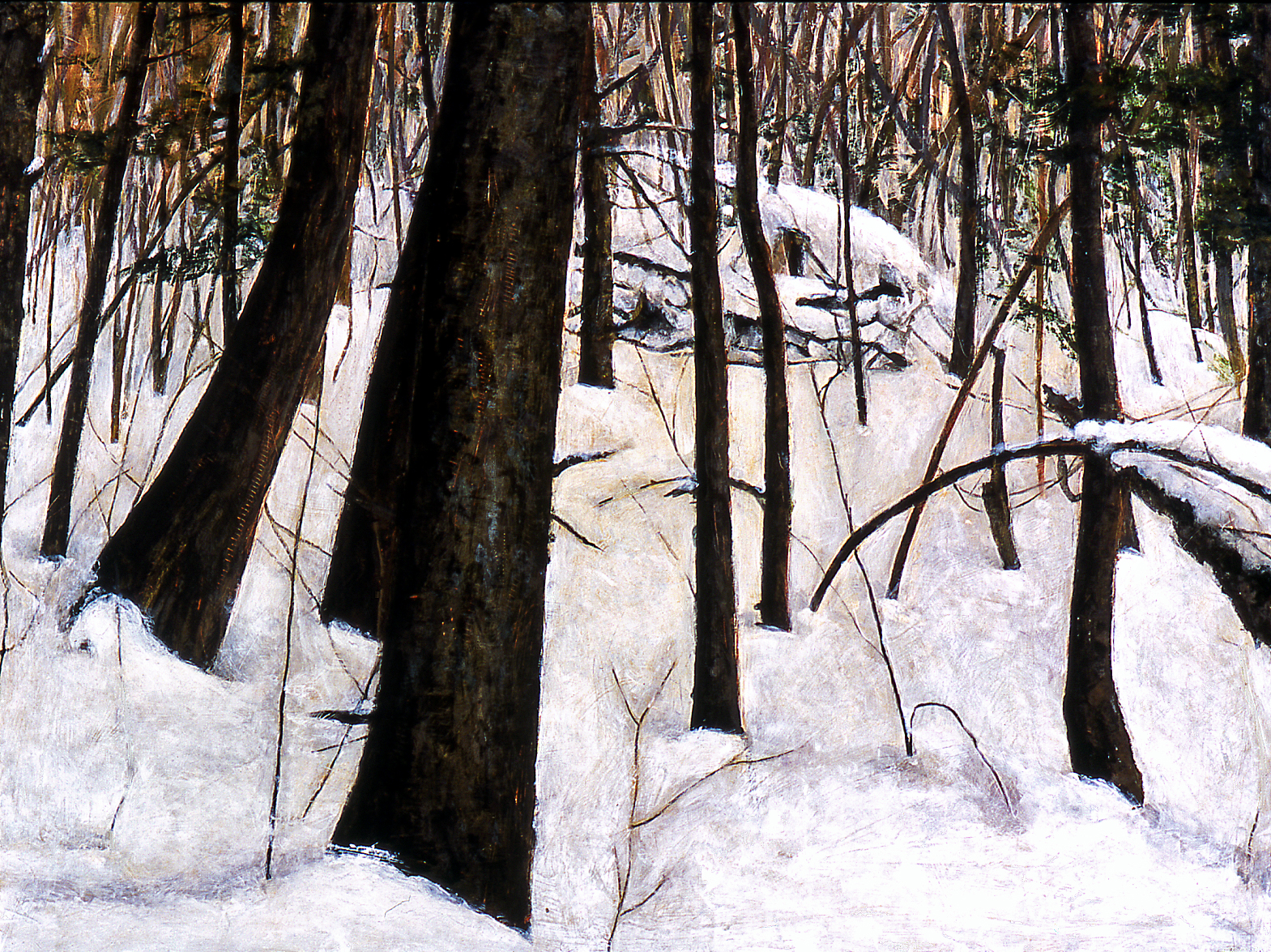 Winter Woods, VT, 2002, 36 x 47 ½, acrylic on wood panel, $2500