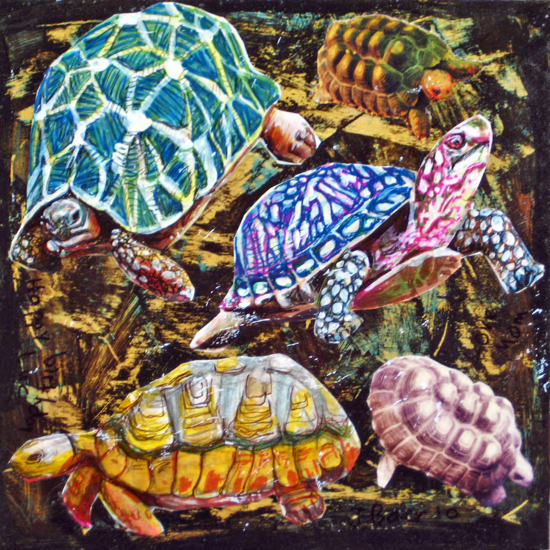 Luc’s Tortoises, 2006, 12x12”, watercolor and acrylic on wood panel, NFS