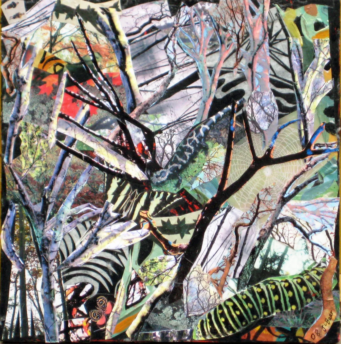 small tree collage2.jpg