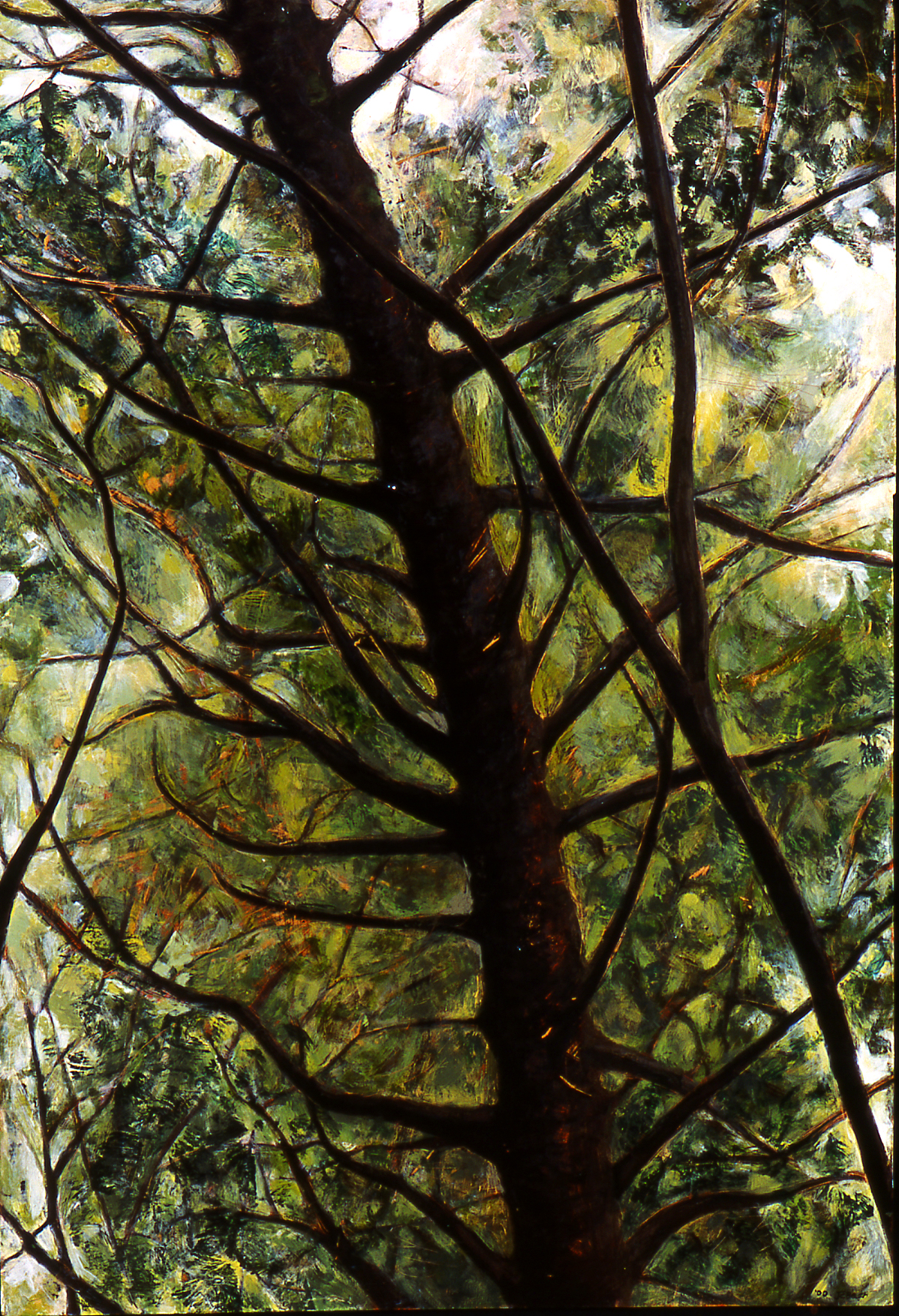 Broadmoor Canopy, MA, 2000, 43 ½ x 29 ¾, acrylic/wood, $2500