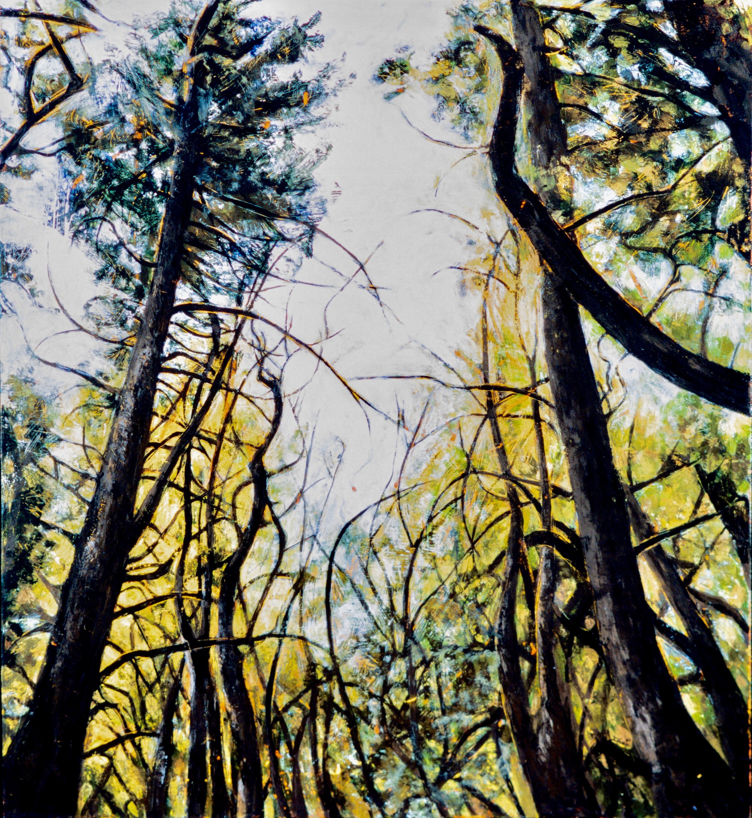 Island Canopy, ME, 2001, 23 ½ x 21 ½, acrylic on wood panel, $1300