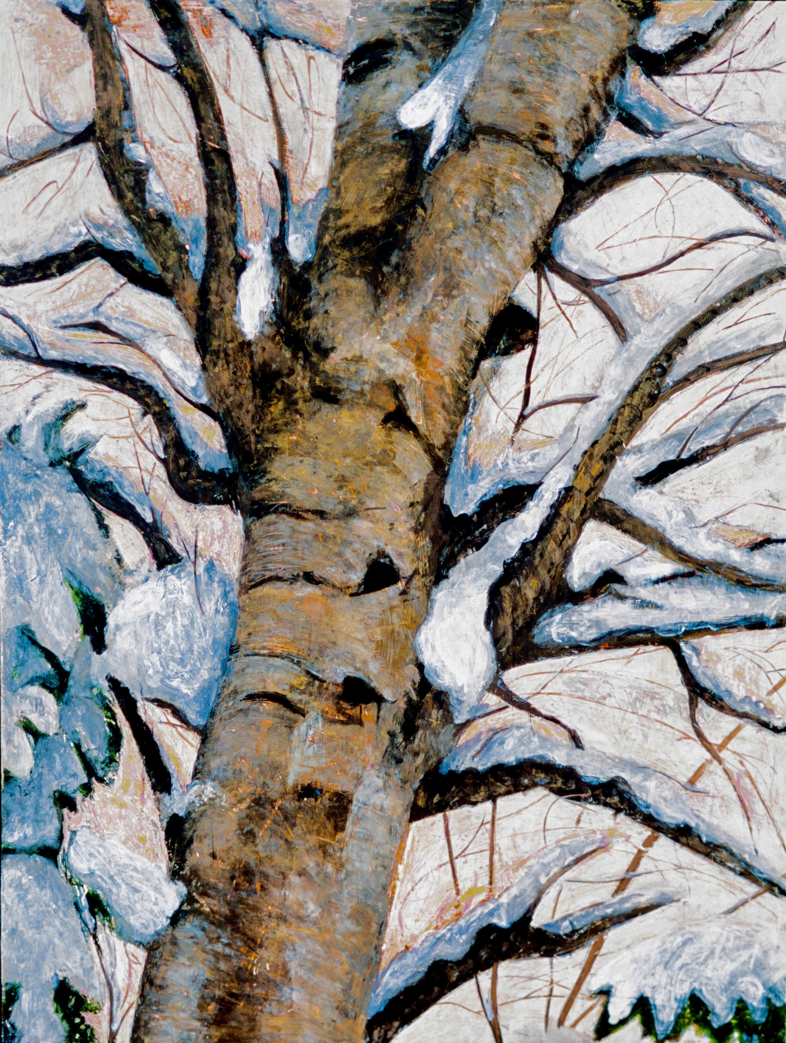 Birch in Snow, VT, 2001, 47 x 36,  acrylic on wood panel, Sold