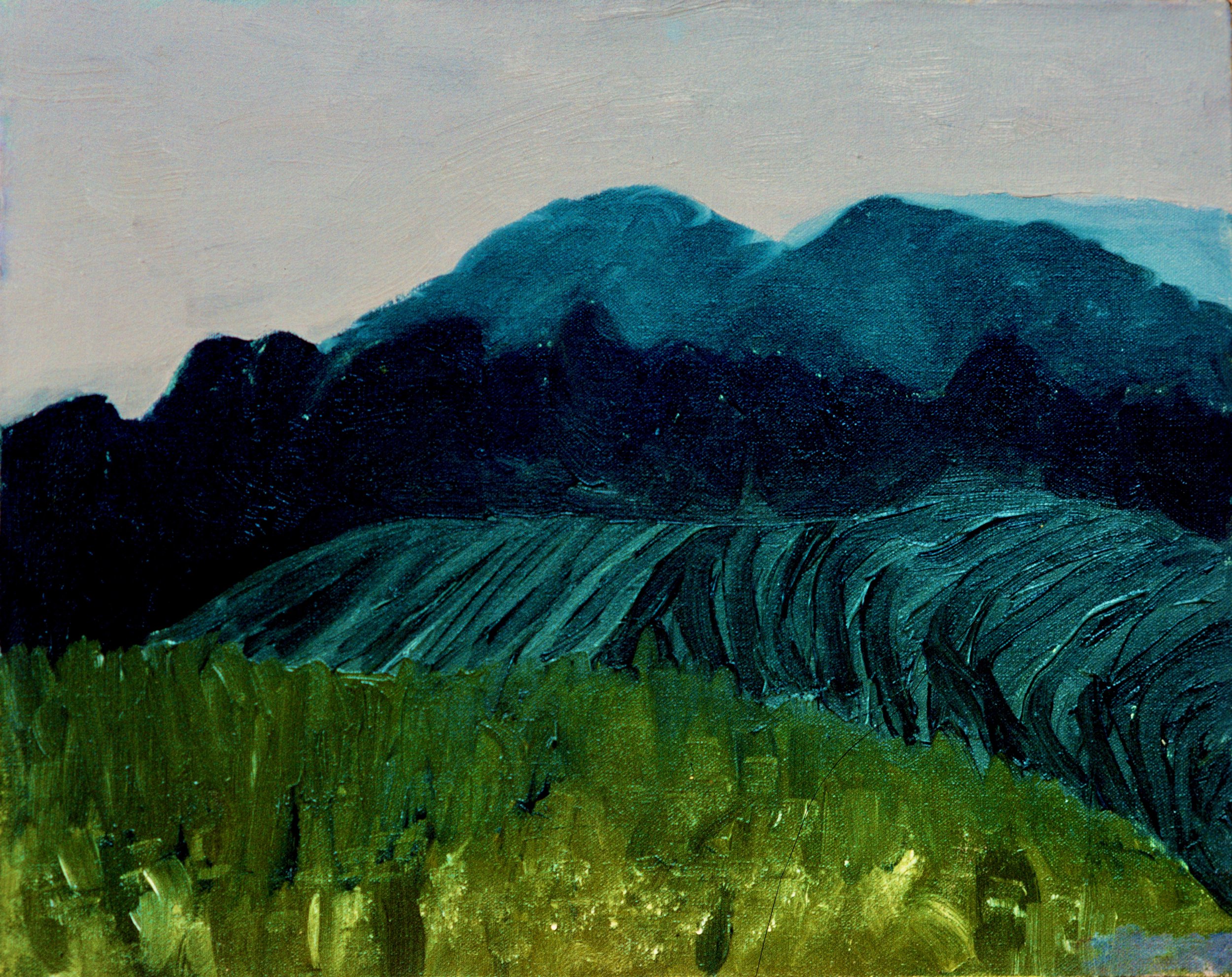 Field, 1976, oil on canvas, NFS