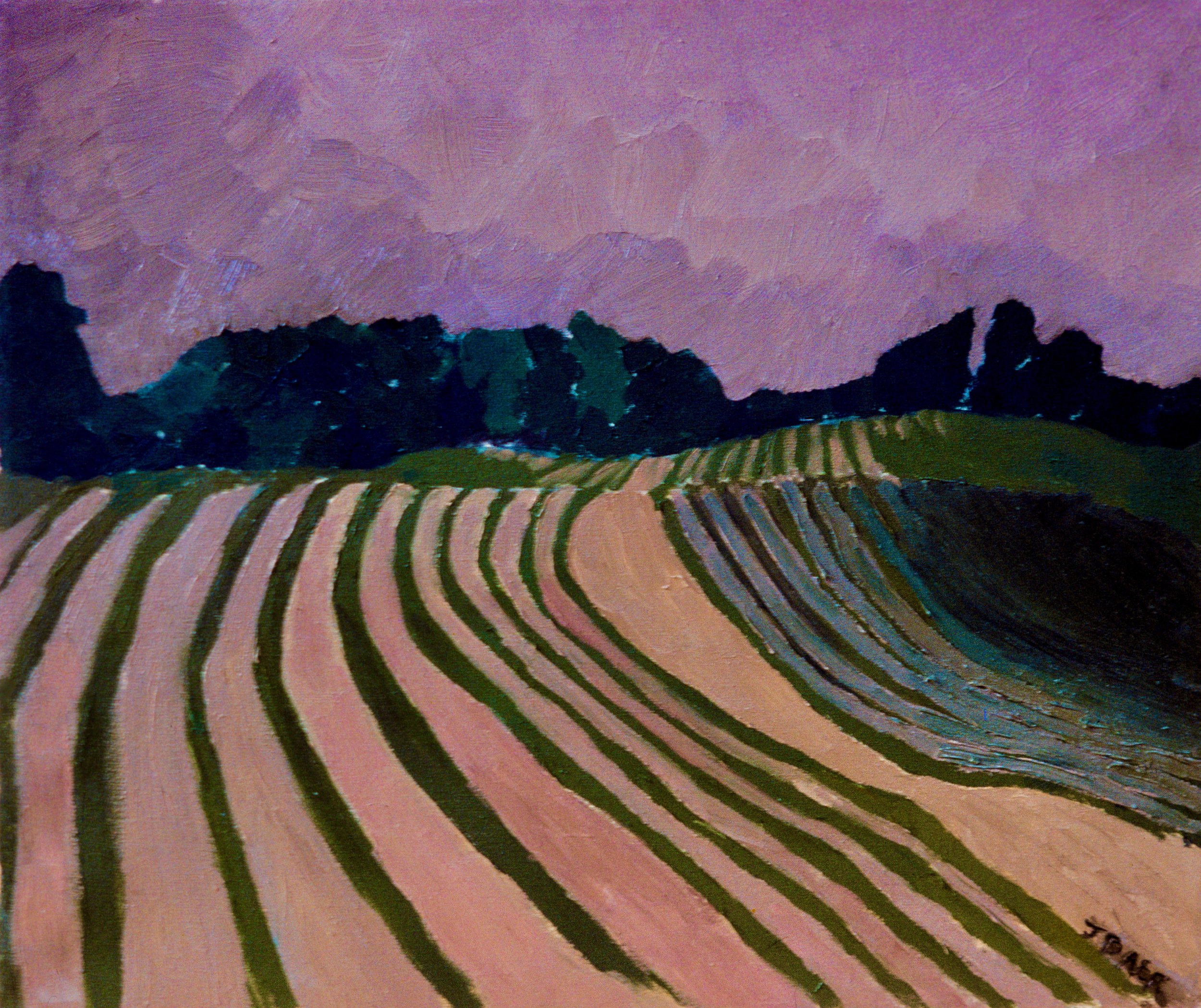 Farm Rows, 1976, oil on canvas, 18x 24”, $800