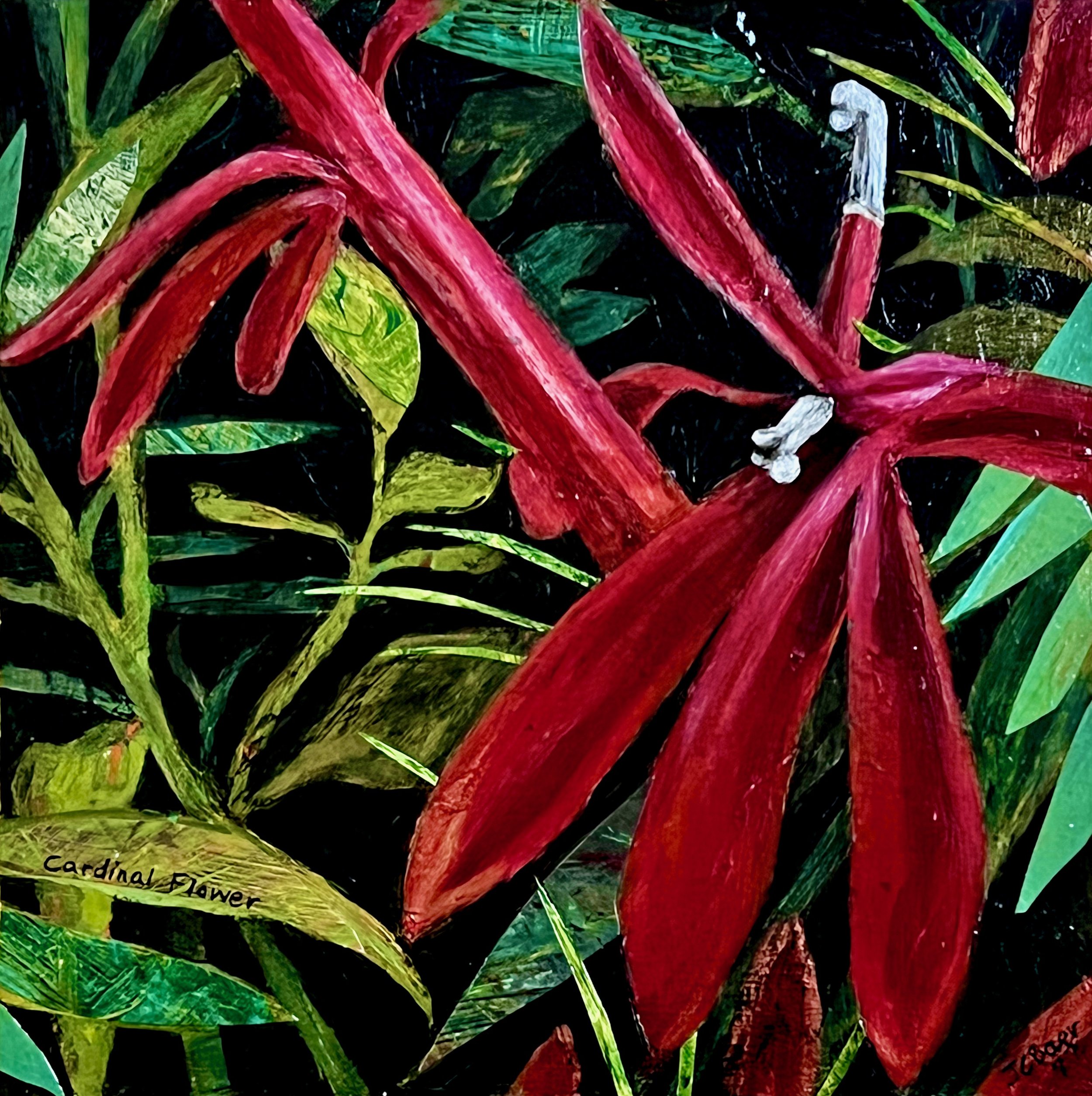 Cardinal Flower (Lobelia cardinalis), 2022, acrylic on wood panel, 12x12”, SOLD