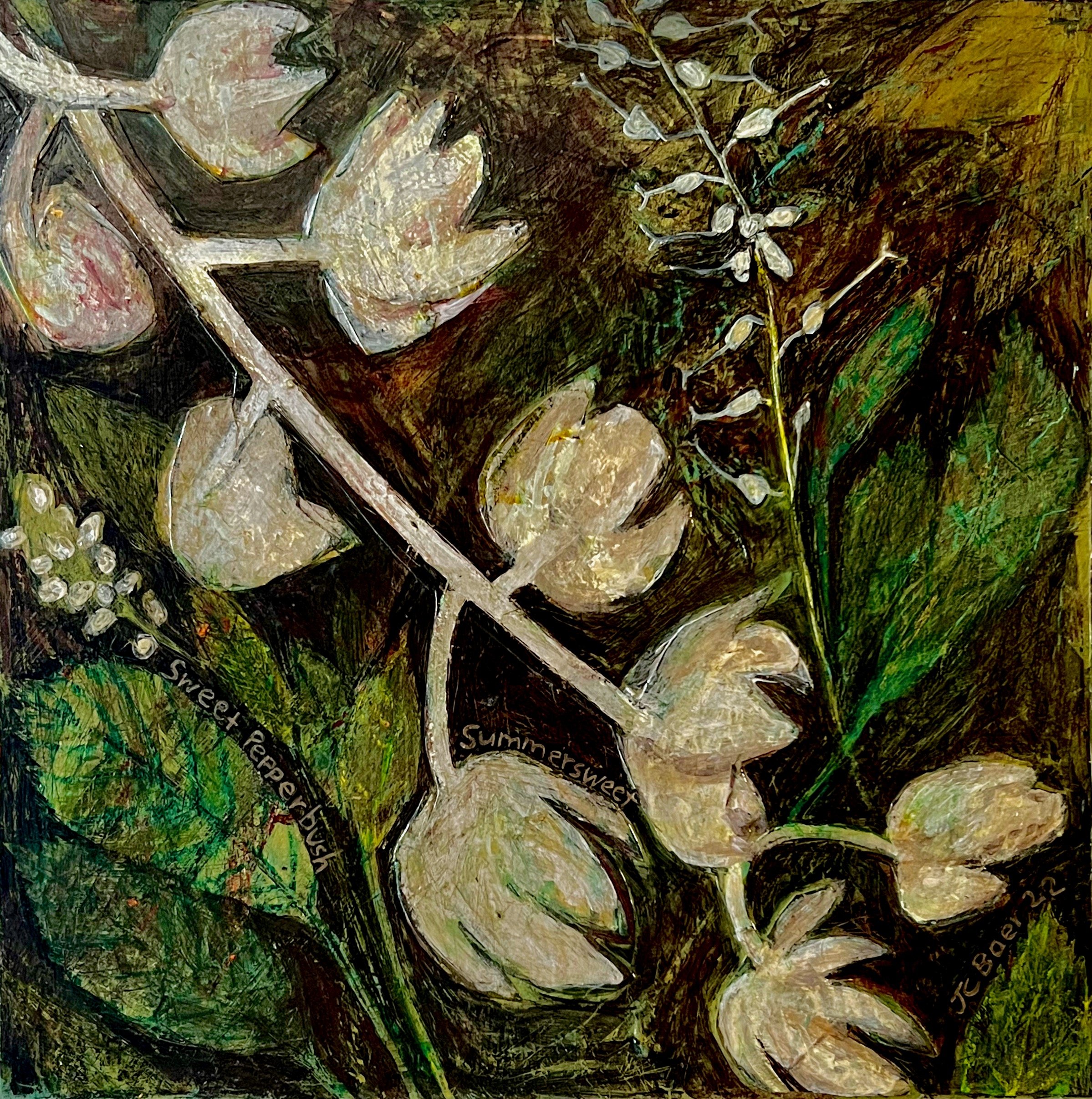 Sweet Pepperbush (Clethra alnifolia), 2022, acrylic on wood panel, 14x14”, $800